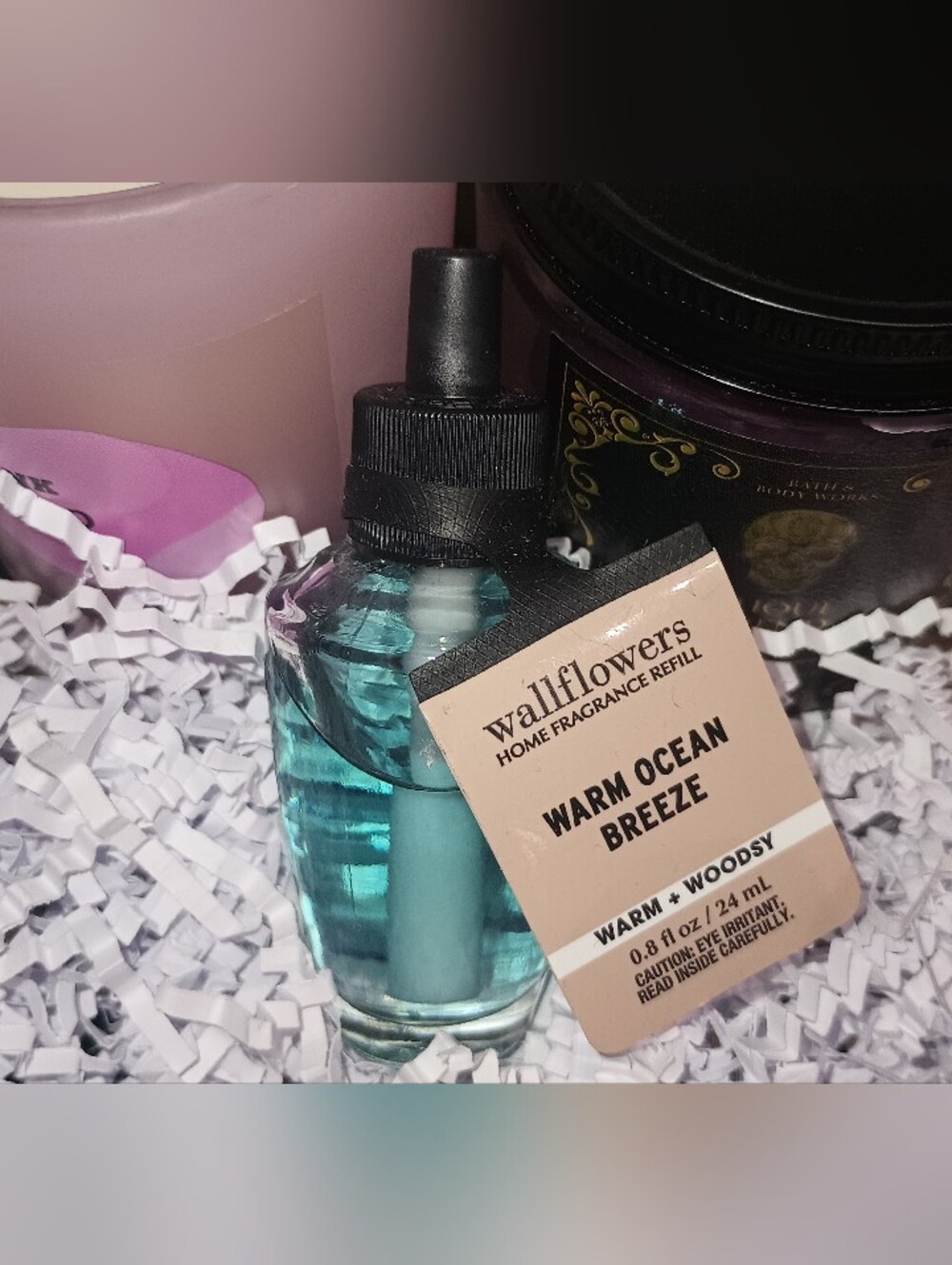 BATH AND BODY WORKS WARM OCEAN BREEZE WALLFLOWER FRAGRANCE REFILL